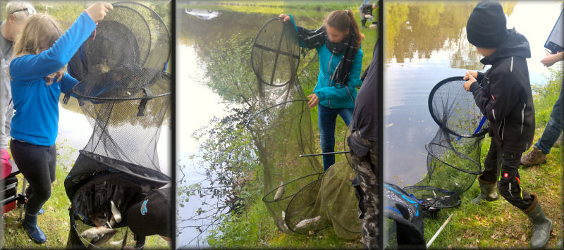 BV Jugend 2019